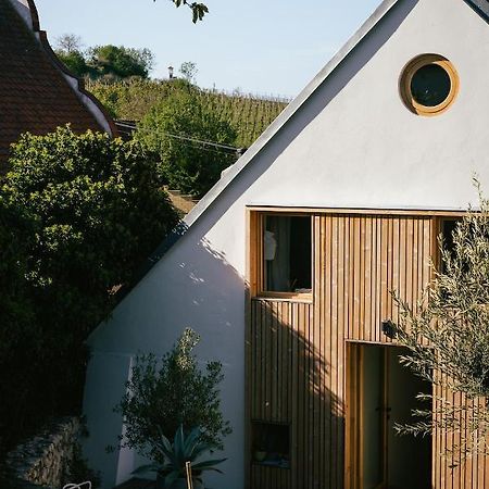 Marinada Vinicni Dum Bed & Breakfast Pavlov Bagian luar foto