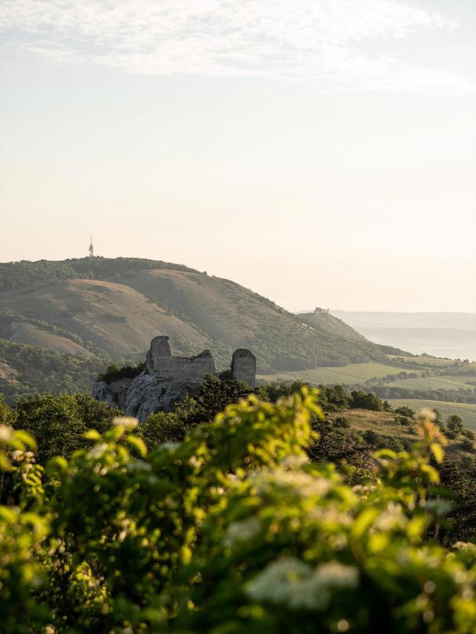 Marinada Vinicni Dum Bed & Breakfast Pavlov Bagian luar foto