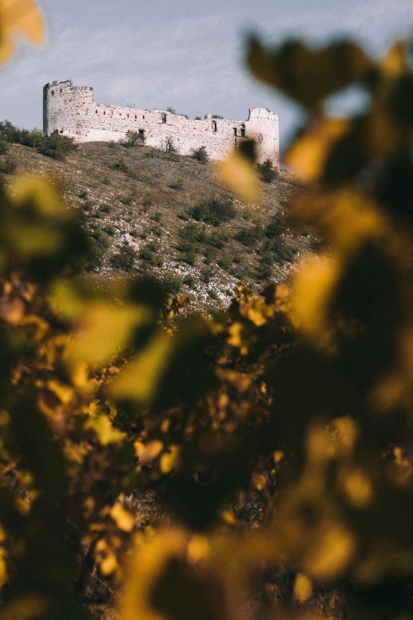 Marinada Vinicni Dum Bed & Breakfast Pavlov Bagian luar foto