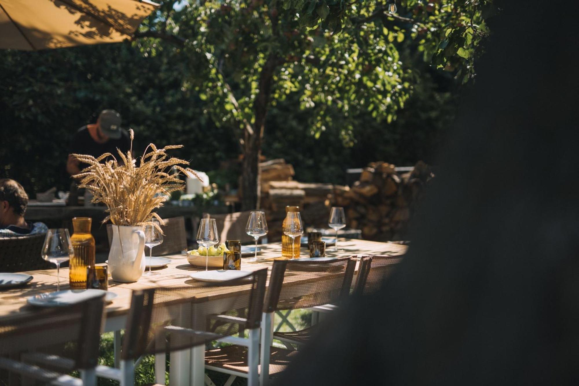 Marinada Vinicni Dum Bed & Breakfast Pavlov Bagian luar foto